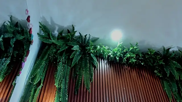 alice_greco live