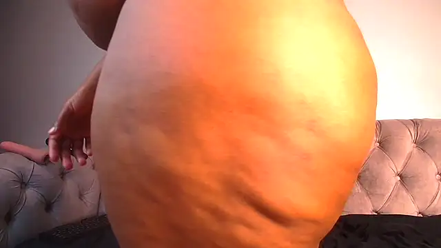 PoundBear live