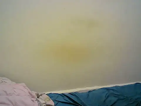 BerryJulie live