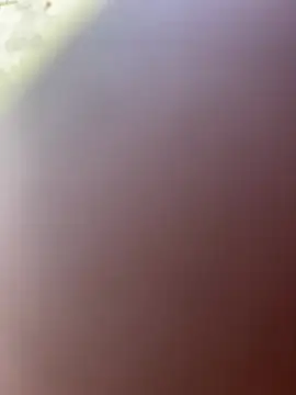 TiffaneyLove live