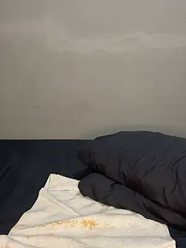 petite_bee live