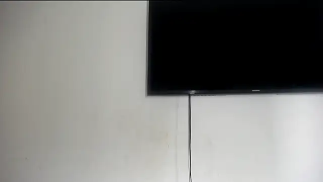 Fox_Loves live
