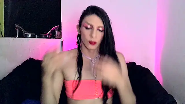 NovaEstreia live