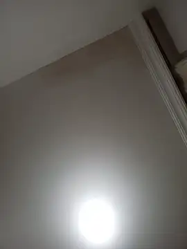 tatlibelammm live