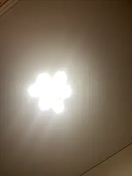 Janet_Welder live