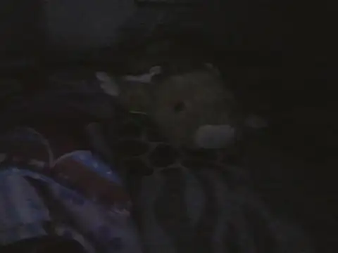 kristall1234 live