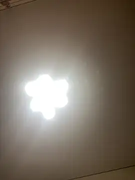 Janet_Welder live