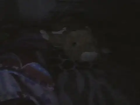 kristall1234 live