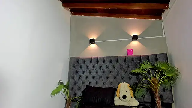 Salomon_koude live