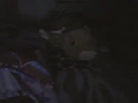kristall1234 live