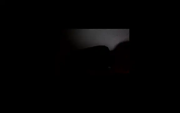 papoupinthishit live