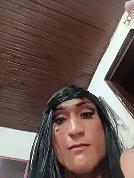 TRANS_COLOMBIA live