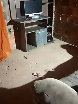 _-_-novinha20anos____- live