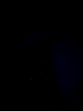 Hotpetittey live