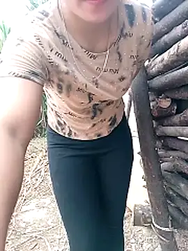 maimai1100 live