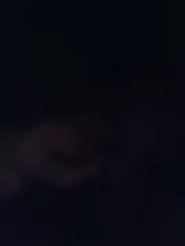 NicolePearl live