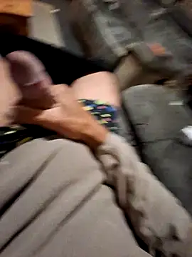 oursgrizly live