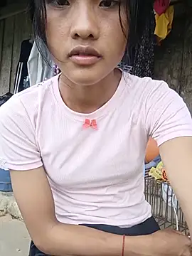 Hoa-tuylip live
