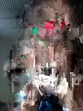 Cute_cate live