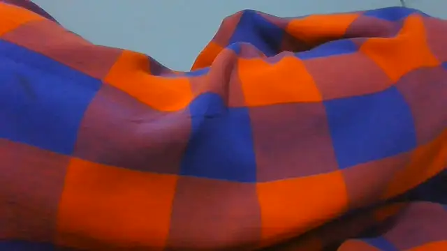 Cozybear live