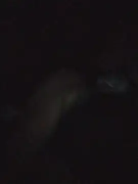 TWiSTYTheTwizted live