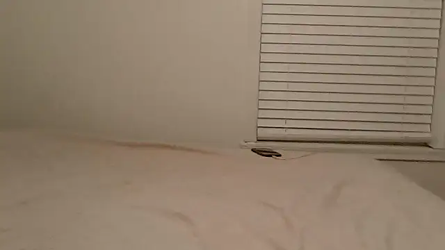 beautylovess live