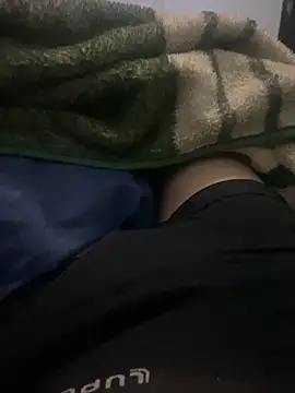 PEDRO_NET live