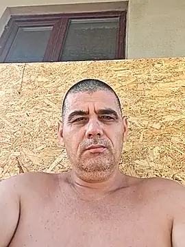sile2000nou live