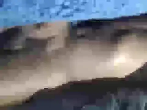 danierviwe live