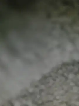 QcMisterv13 live
