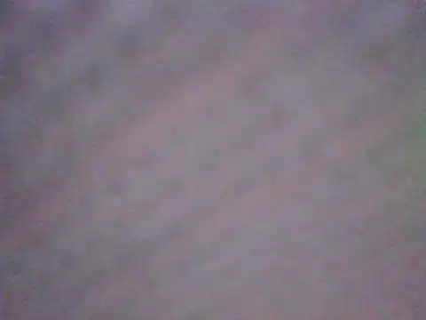 Stich_Linda profile