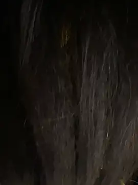 Elise68 live