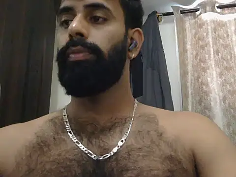 indianhairybull live