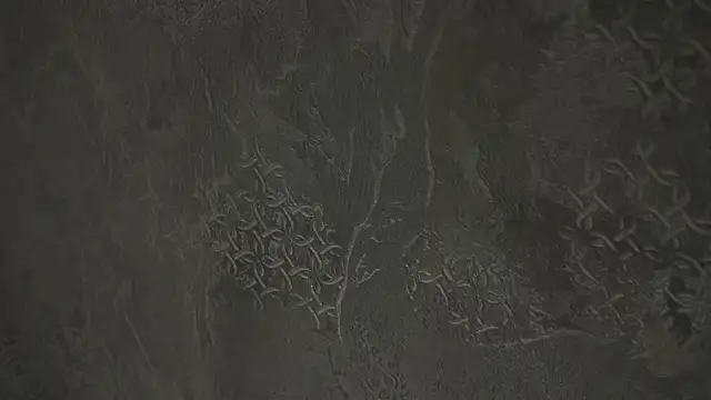 KasiReitan live