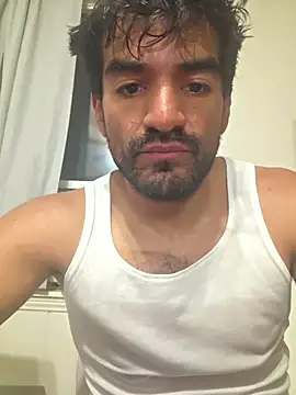 piggylatino live