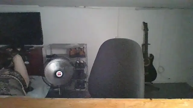 daphneev live