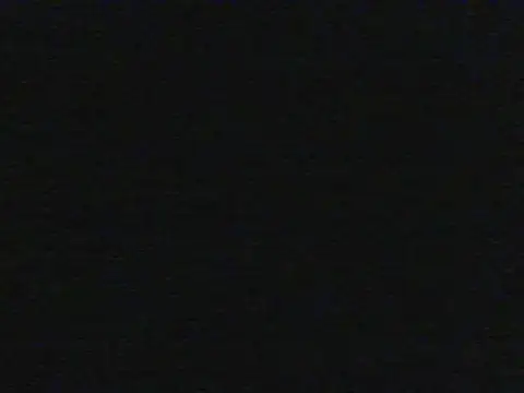 shugabaibe live