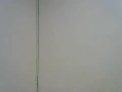 Wild_Ass- live