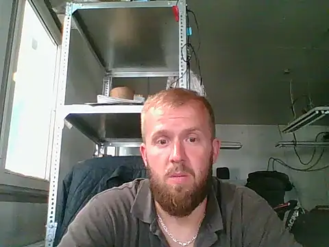 bardiauto live