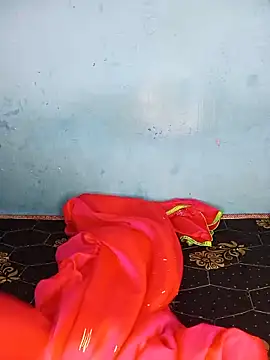 Deepa_kannadatelugu live