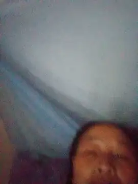 lylylai live
