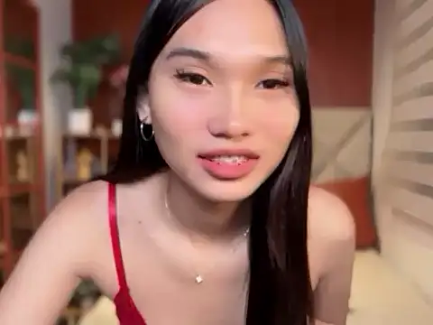 universal_cutie live