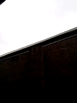 Obolo12 profile