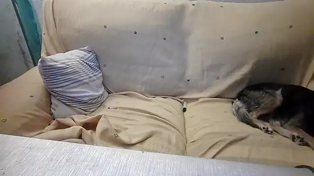 jazmin39 live