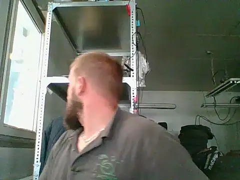 bardiauto live