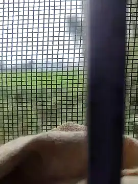 Desi_girl002 live