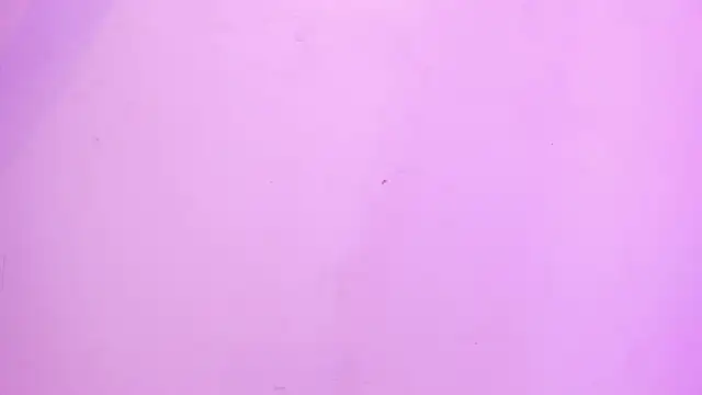 Mia_Tailor_Bms live