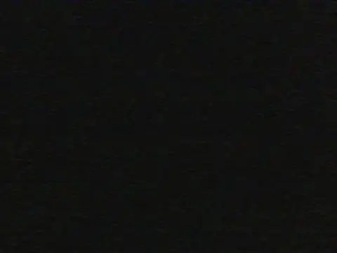 shugabaibe live