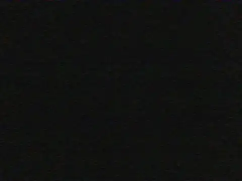 shugabaibe live