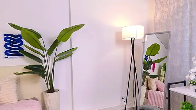 SoftyFlow profile